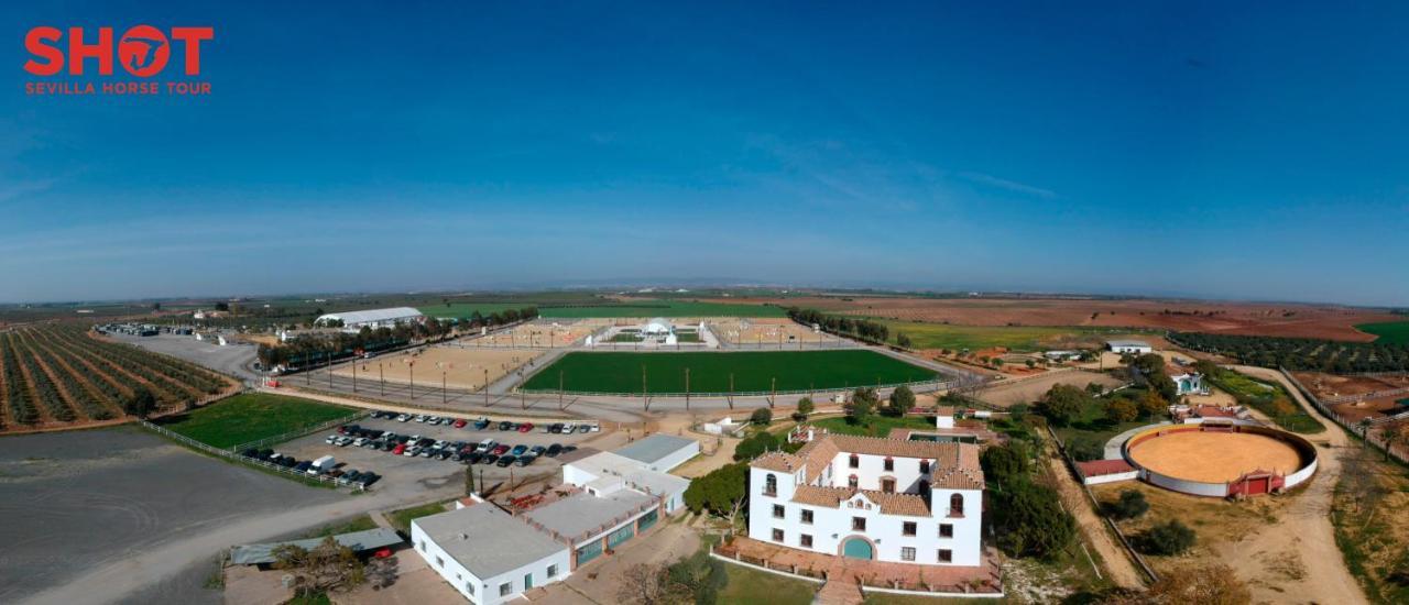 Villa Cortijo La Amazona Sevilla Exterior foto